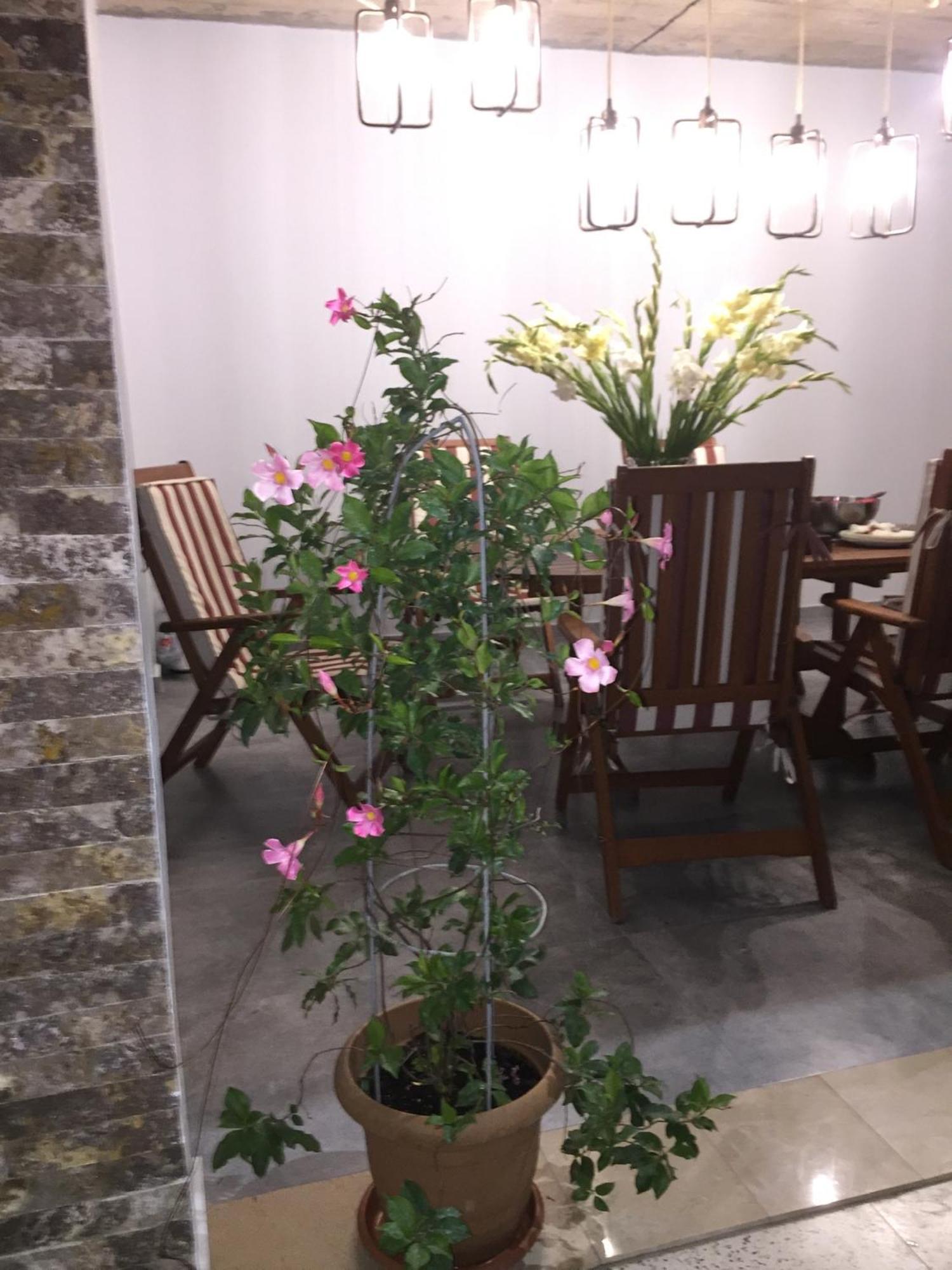 Guest House Smile Kobuleti Bagian luar foto