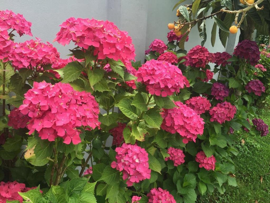 Guest House Smile Kobuleti Bagian luar foto